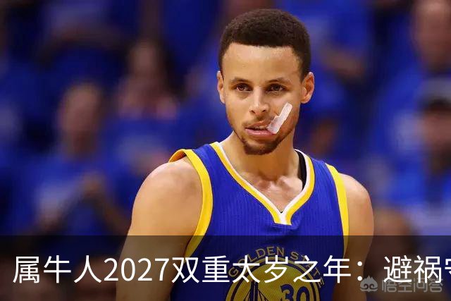 属牛人2027双重太岁之年：避祸守福，实用完整指南