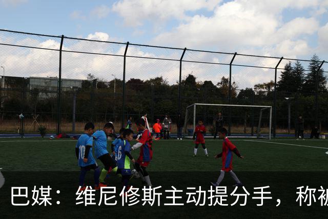 巴媒：维尼修斯主动提分手，称被对方压得喘不过气
